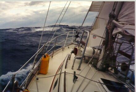 Puffling at sea